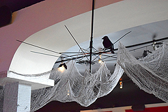 WATERCRESS HALLOWEEN