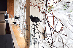 WATERCRESS HALLOWEEN