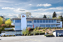 WINDERMERE FALL MIXER