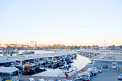 WINDERMERE FALL MIXER