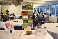 WINDERMERE FALL MIXER