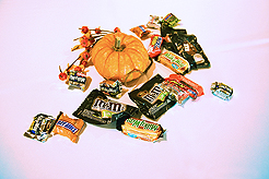 WINDERMERE FALL MIXER