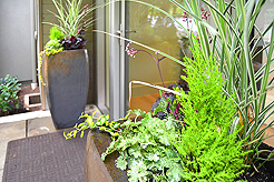 LAURELHURST UNREAL ESTATE