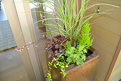 LAURELHURST UNREAL ESTATE