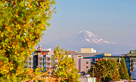 THE HIGHLANDER PENTHOUSE