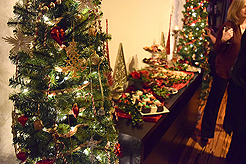 A COCKTAIL CHRISTMAS PARTY