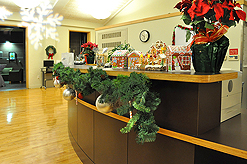 AI2 - ALLEN INSTITUTE HOLIDAY PARTY