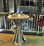 AI2 - ALLEN INSTITUTE HOLIDAY PARTY