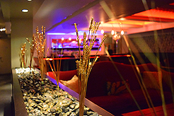 AMBER SEATTLE NYE 2017