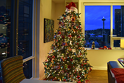 HOLIDAYS IN THE CITY