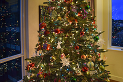 HOLIDAYS IN THE CITY