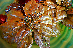 THE MARTIN FOR THE HOLIDAYS