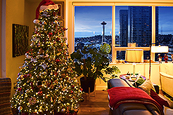 THE MARTIN FOR THE HOLIDAYS