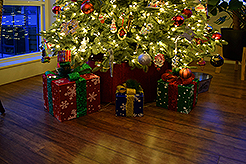 THE MARTIN FOR THE HOLIDAYS