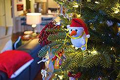 THE MARTIN FOR THE HOLIDAYS