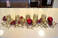 THE MARTIN FOR THE HOLIDAYS