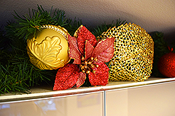 THE MARTIN FOR THE HOLIDAYS