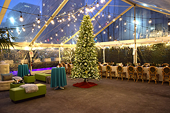 HOLIDAYS AT THE SORRENTO