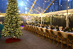 HOLIDAYS AT THE SORRENTO