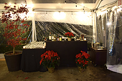 HOLIDAYS AT THE SORRENTO