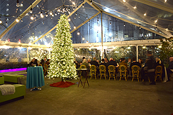 HOLIDAYS AT THE SORRENTO