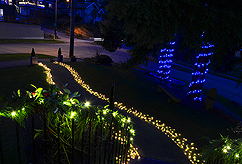 HOME FOR THE HOLIDAYS