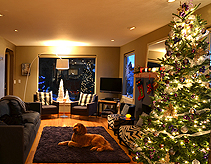 HOME FOR THE HOLIDAYS