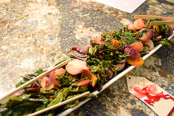 LIVING CARE LIFESTYLES