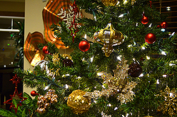 QUAIL PARK OF LYNNWOOD