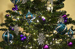 QUAIL PARK OF LYNNWOOD