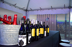 STACY LOGAN HOLIDAY EXTRAVAGANZA