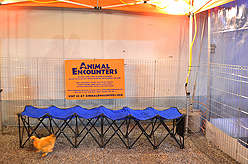 STACY LOGAN HOLIDAY EXTRAVAGANZA