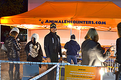 STACY LOGAN HOLIDAY EXTRAVAGANZA