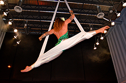 STACY LOGAN HOLIDAY EXTRAVAGANZA