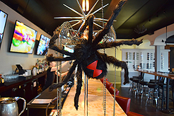 WATERCRESS HALLOWEEN