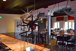 WATERCRESS HALLOWEEN