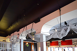 WATERCRESS HALLOWEEN