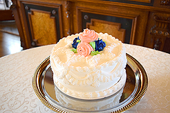 A FAIRY TALE WEDDING