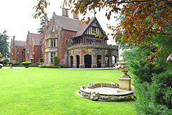 A FAIRY TALE WEDDING