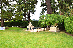 A FAIRY TALE WEDDING