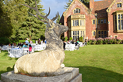 A FAIRY TALE WEDDING