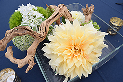 A RECEPTION TO REMEMBER