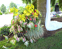 HIGH SCHOOL SWEETHEARTS