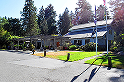 LOVE IN BLOOM AT WISTERIA HALL