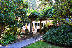 LOVE IN BLOOM AT WISTERIA HALL