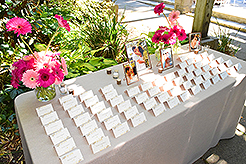 LOVE IN BLOOM AT WISTERIA HALL