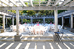 LOVE IN BLOOM AT WISTERIA HALL