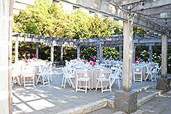 LOVE IN BLOOM AT WISTERIA HALL