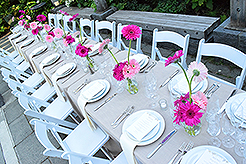 LOVE IN BLOOM AT WISTERIA HALL