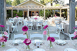 LOVE IN BLOOM AT WISTERIA HALL